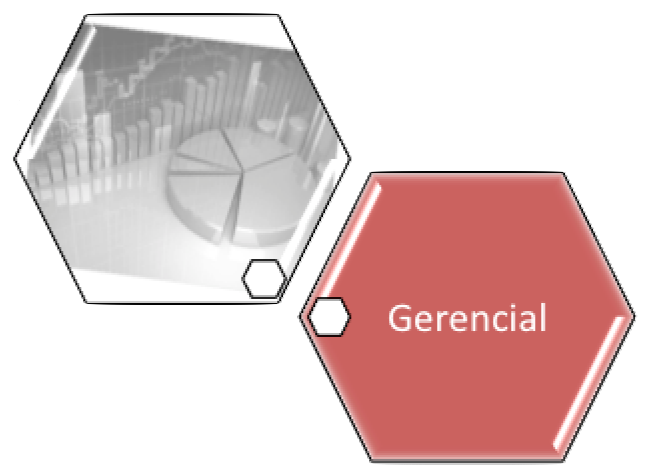 gsan-gerencial.png