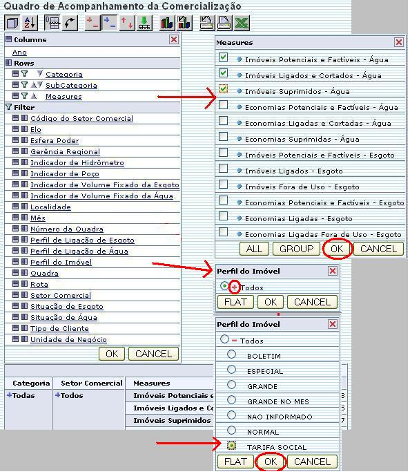 olap_-_quadroacompanhamentocomercializacao_-_commodificacoes.png